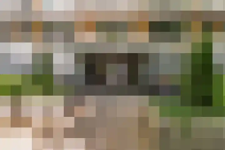 Henri Dunantlaan 153 Apeldoorn thumbnail 22