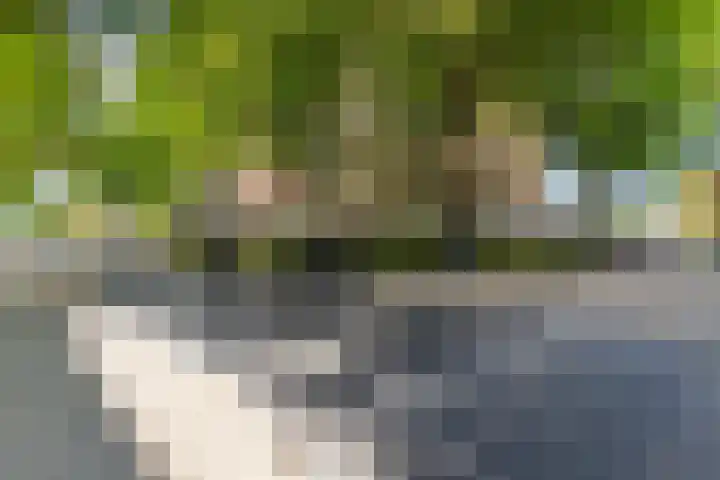Henri Dunantlaan 153 Apeldoorn thumbnail 25