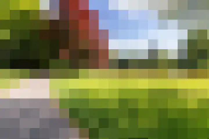 Henri Dunantlaan 153 Apeldoorn thumbnail 27
