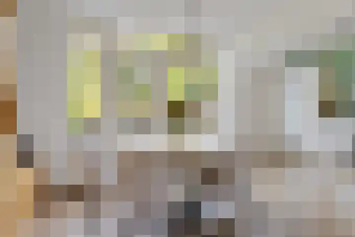 Henri Dunantlaan 16 Vleuten thumbnail 10