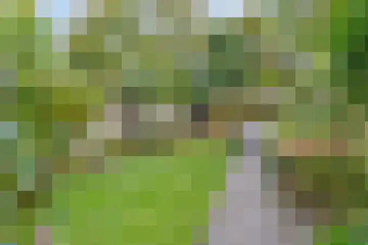 Henri Dunantlaan 16 Vleuten thumbnail 26