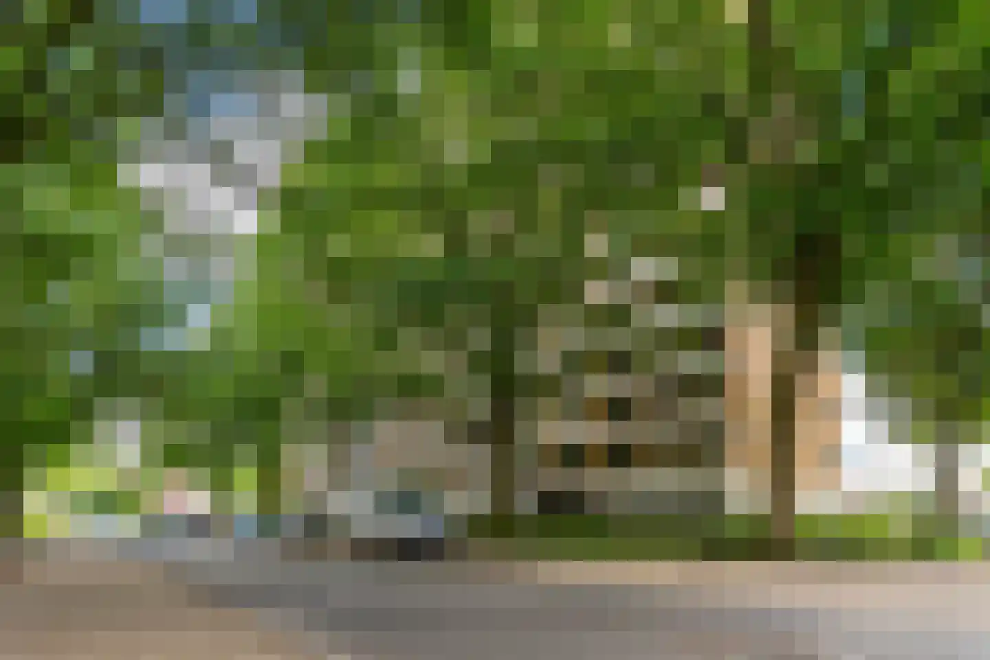 Henri Dunantlaan 167 Apeldoorn thumbnail 41