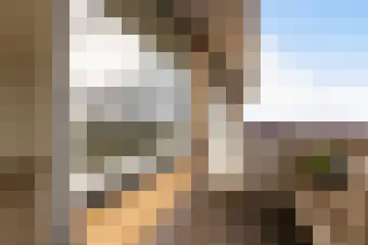 Henri Dunantlaan 193 Apeldoorn thumbnail 22