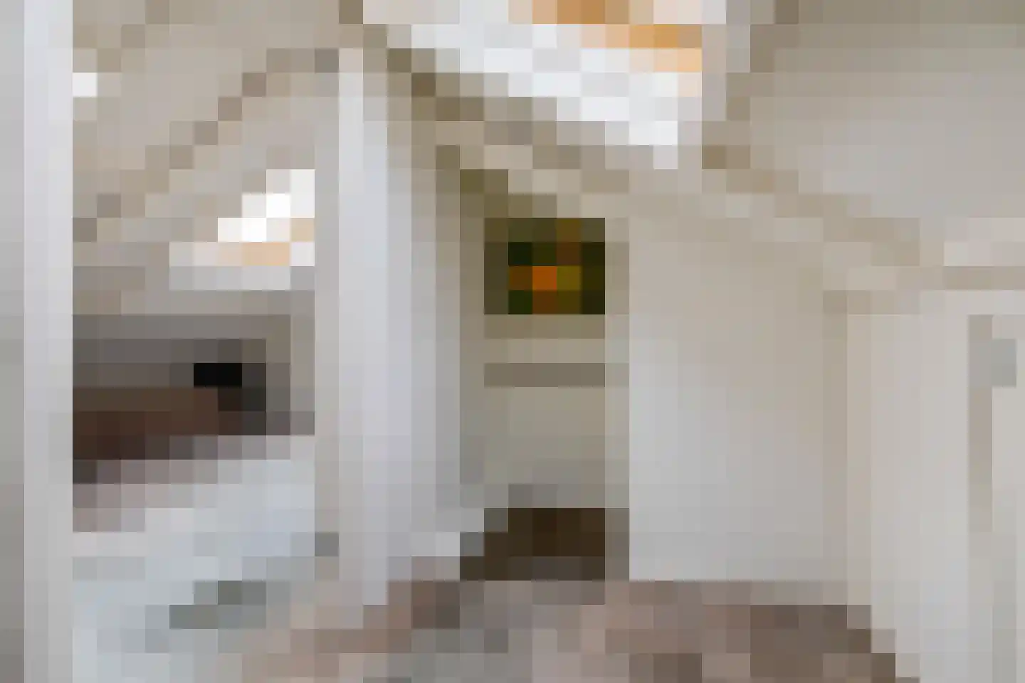 Henri Dunantlaan 23 2 Groningen thumbnail 27