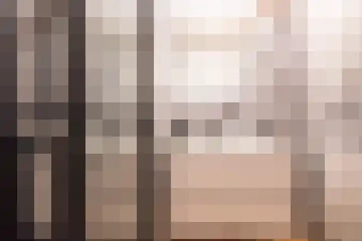 Henri Dunantlaan 23 Apeldoorn thumbnail 19
