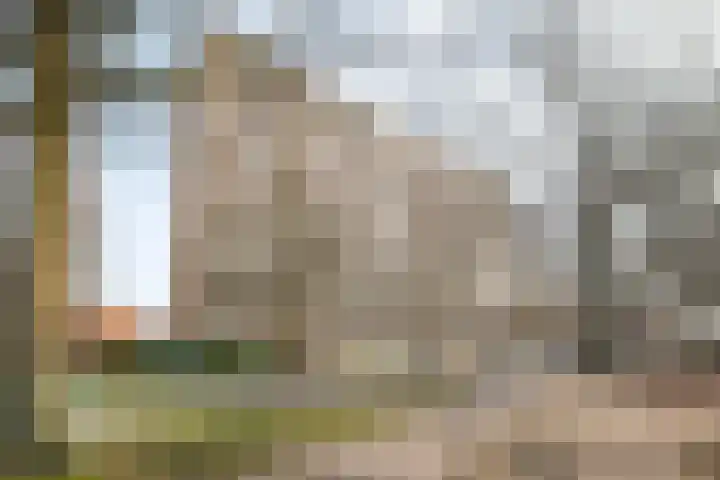 Henri Dunantlaan 23 Apeldoorn thumbnail 32