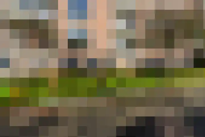 Henri Dunantlaan 257 Apeldoorn thumbnail 27