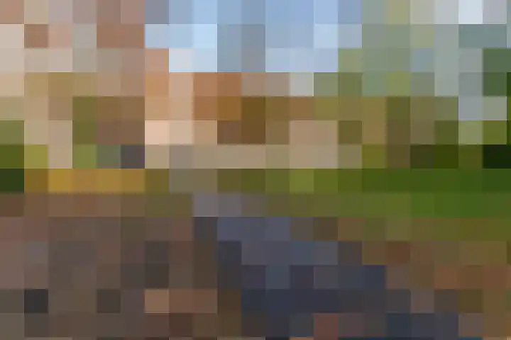 Henri Dunantlaan 257 Apeldoorn thumbnail 28