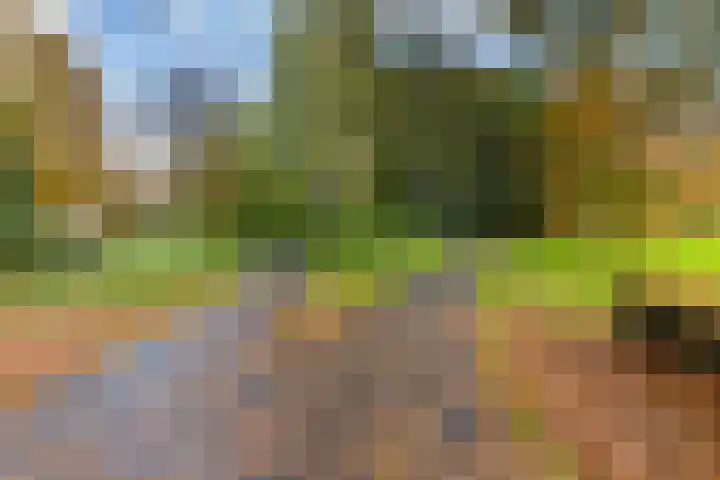 Henri Dunantlaan 257 Apeldoorn thumbnail 31