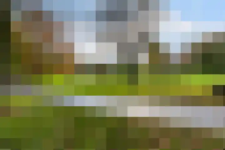 Henri Dunantlaan 257 Apeldoorn thumbnail 32