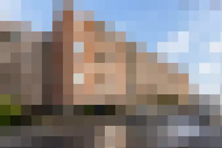 Henri Dunantlaan 257 Apeldoorn thumbnail 37