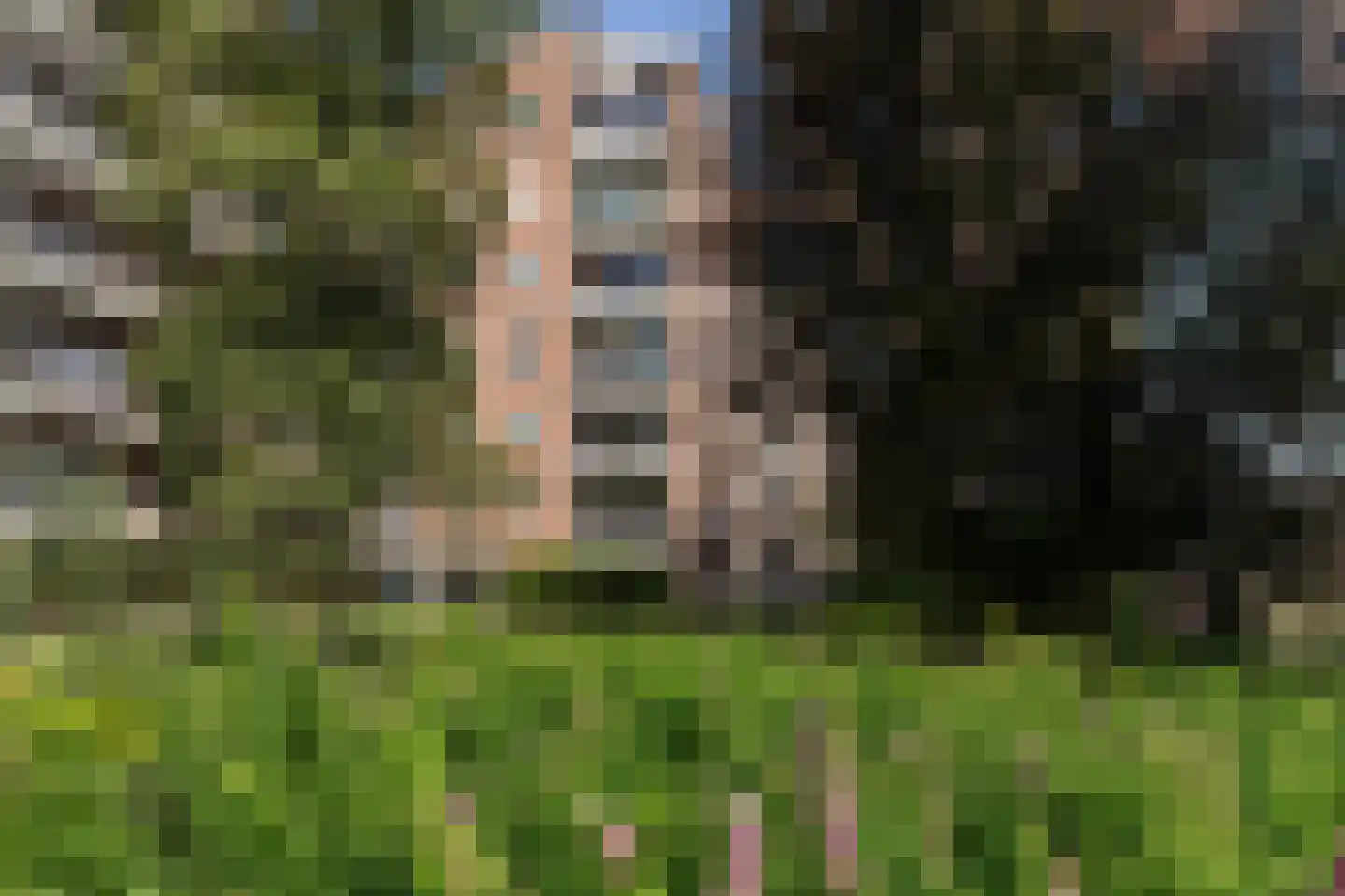 Henri Dunantlaan 263 Apeldoorn thumbnail 29