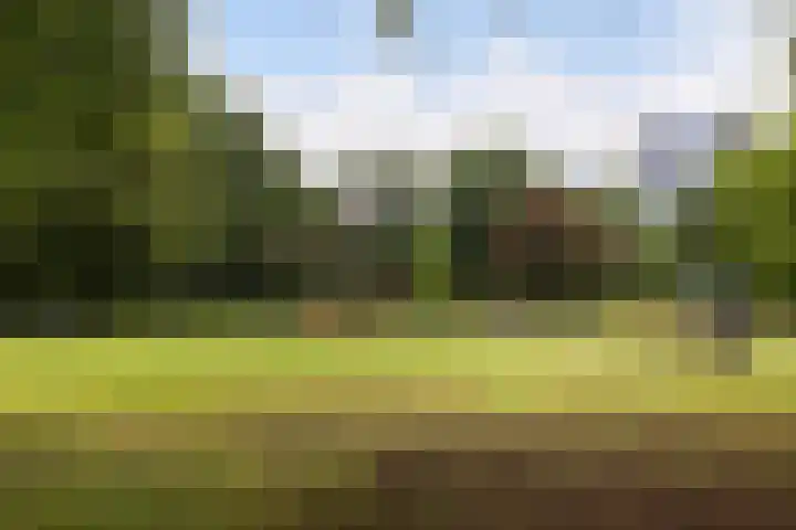 Henri Dunantlaan 283 Apeldoorn thumbnail 28