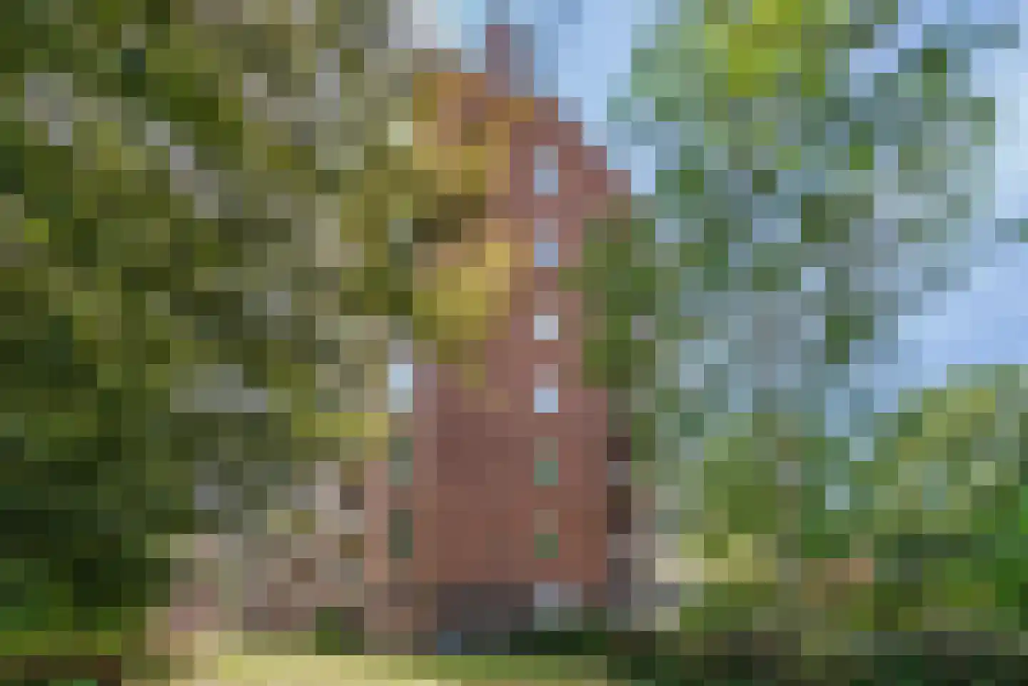 Henri Dunantlaan 285 Apeldoorn thumbnail 37