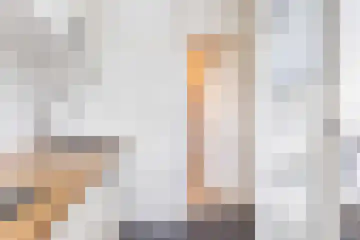 Henri Dunantlaan 301 Apeldoorn thumbnail 12