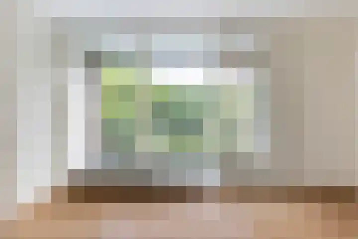 Henri Dunantlaan 301 Apeldoorn thumbnail 17