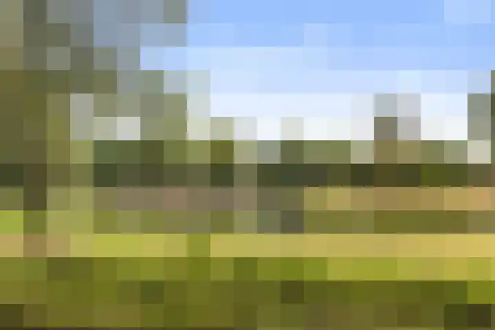 Henri Dunantlaan 301 Apeldoorn thumbnail 37