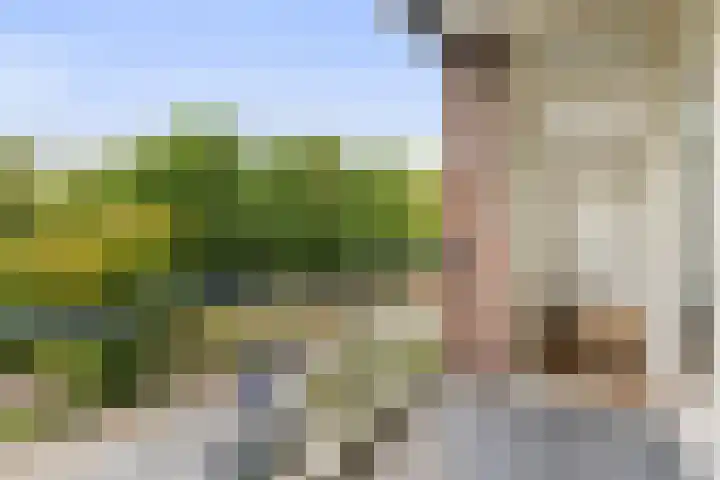 Henri Dunantlaan 301 Apeldoorn thumbnail 6