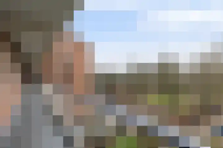 Henri Dunantlaan 309 Apeldoorn thumbnail 28