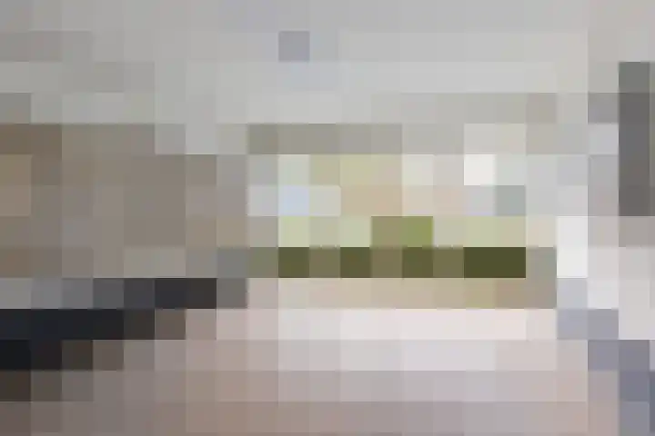 Henri Dunantlaan 309 Apeldoorn thumbnail 34