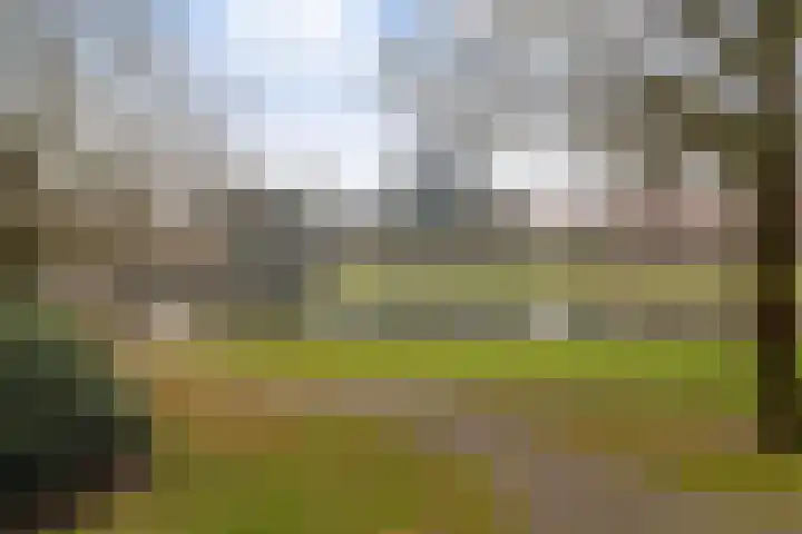 Henri Dunantlaan 309 Apeldoorn thumbnail 39