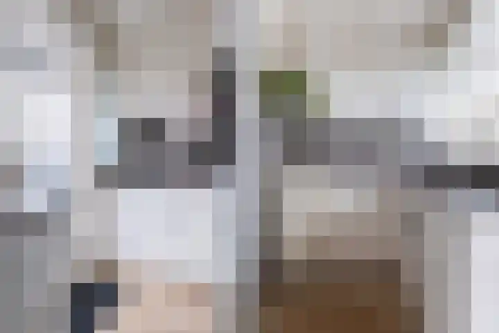 Henri Dunantlaan 317 Apeldoorn thumbnail 6