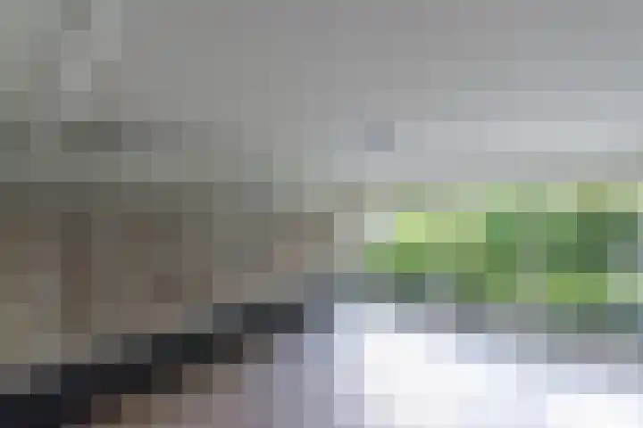 Henri Dunantlaan 359 Apeldoorn thumbnail 5