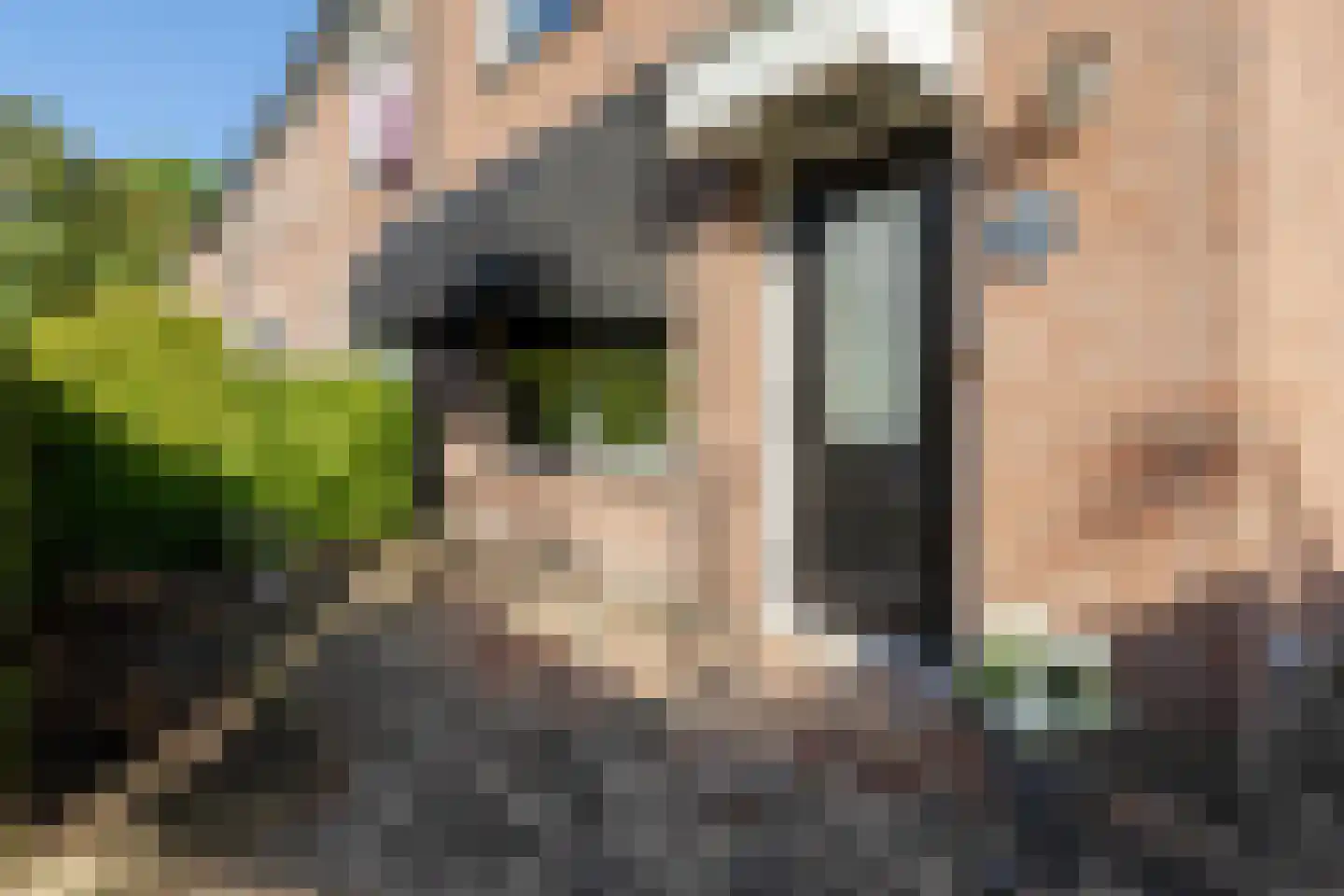 Henri Dunantlaan 39 Barneveld thumbnail 9