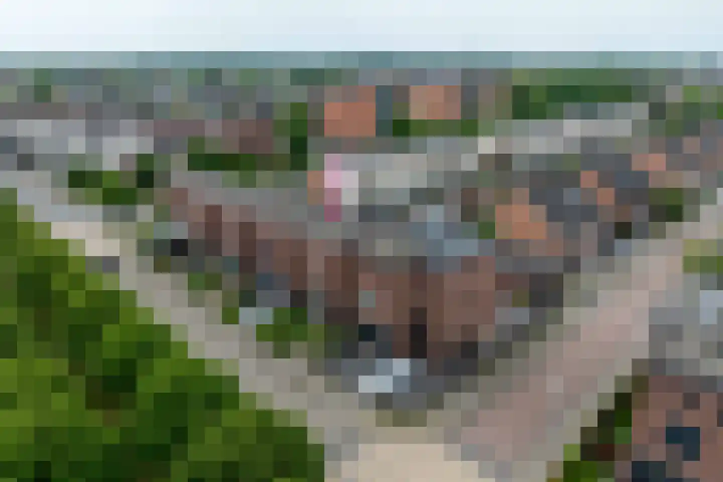 Henri Dunantlaan 5 Hellevoetsluis thumbnail 46