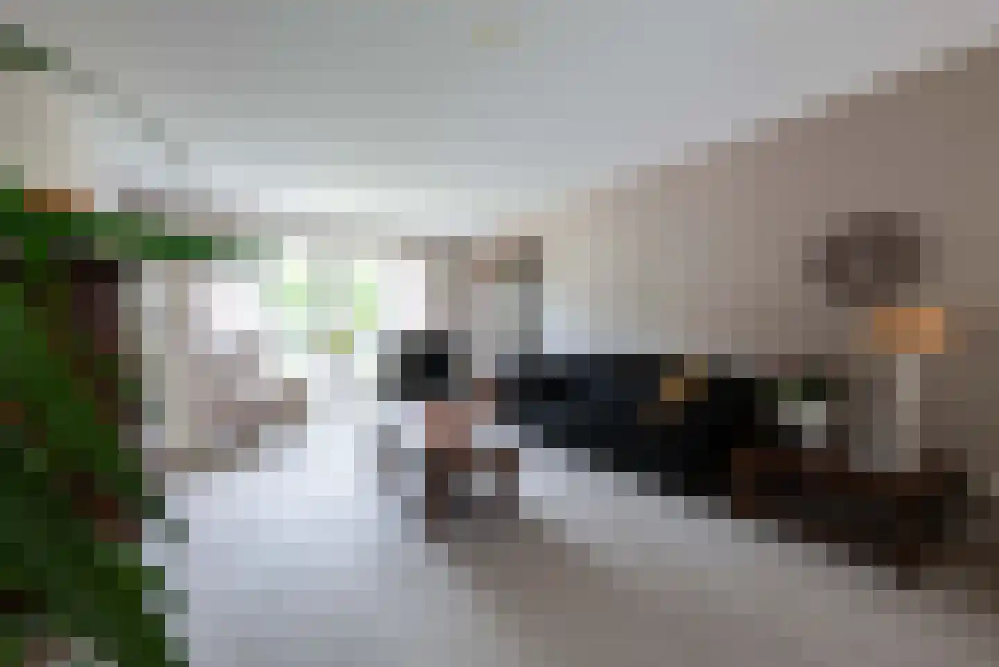 Henri Dunantlaan 5 Hellevoetsluis thumbnail 9
