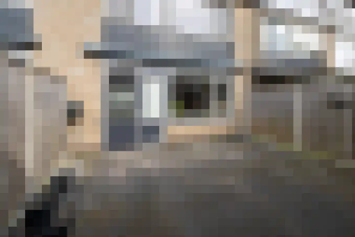 Henri Dunantlaan 6 Barneveld thumbnail 35
