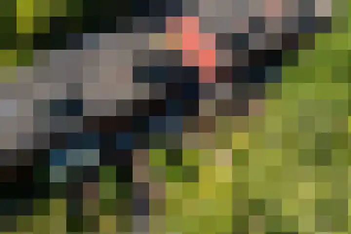 Henri Dunantlaan 65 Doetinchem thumbnail 37