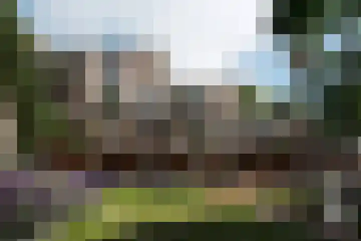 Henri Dunantlaan 66 in Deventer