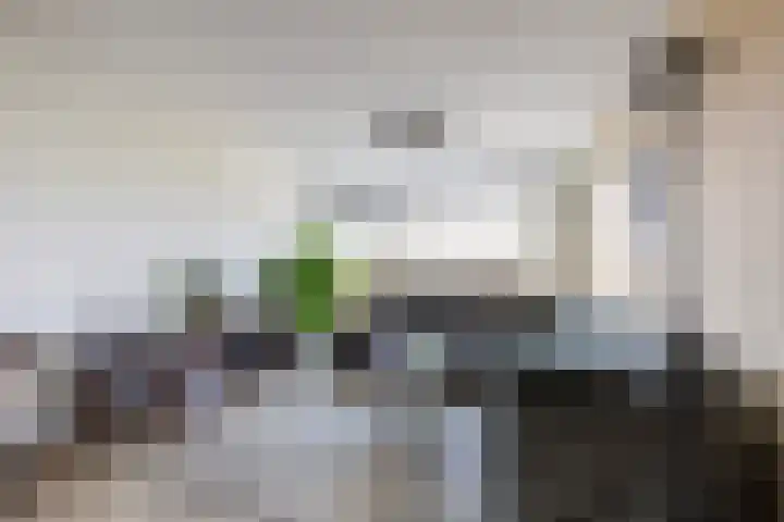 Henri Dunantlaan 69 Apeldoorn thumbnail 11