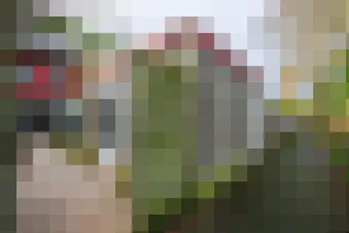 Henri Dunantlaan 69 Doetinchem thumbnail 16