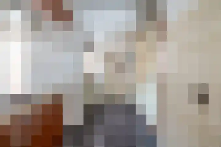 Henri Dunantlaan 86 Doetinchem thumbnail 15