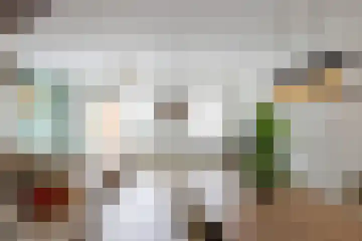 Henri Dunantlaan 86 Doetinchem thumbnail 16