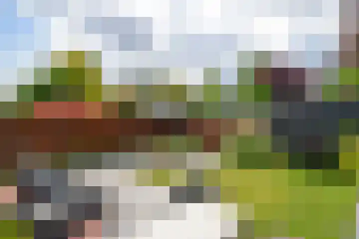 Henri Dunantpark 13 Huizen thumbnail 23