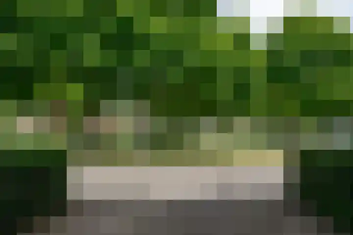Henri Dunantpark 13 Huizen thumbnail 26