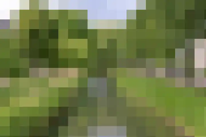 Henri Dunantpark 13 Huizen thumbnail 28
