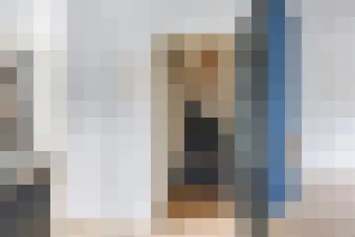 Henri Dunantplantsoen 7 Zetten thumbnail 23