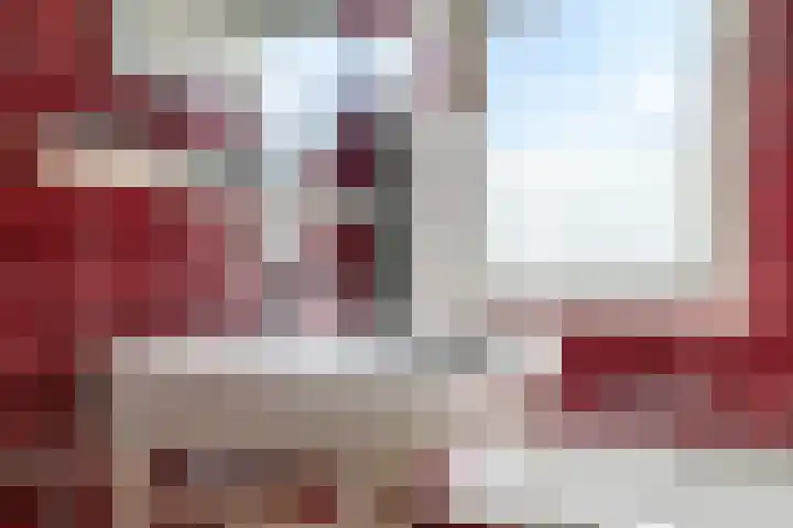 Henri Dunantplantsoen 7 Zetten thumbnail 30