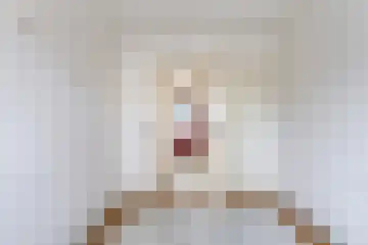Henri Dunantplantsoen 7 Zetten thumbnail 32