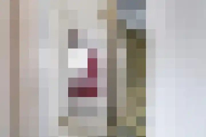 Henri Dunantplantsoen 7 Zetten thumbnail 33