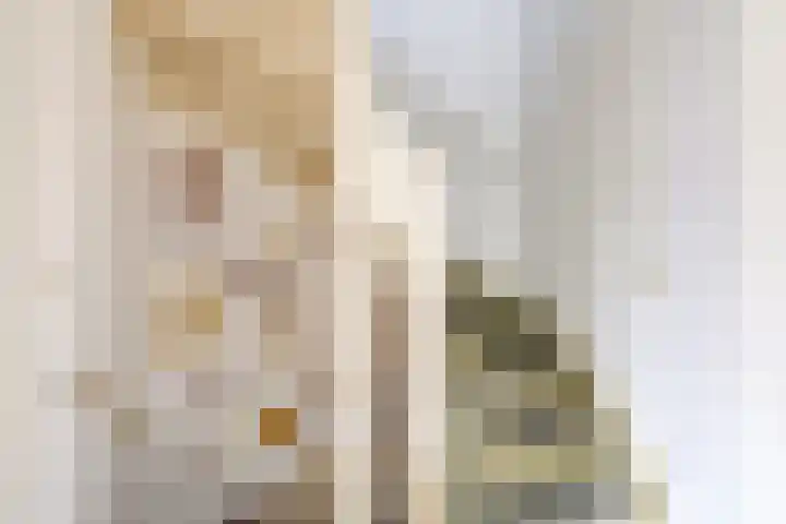 Henri Dunantplantsoen 7 Zetten thumbnail 34