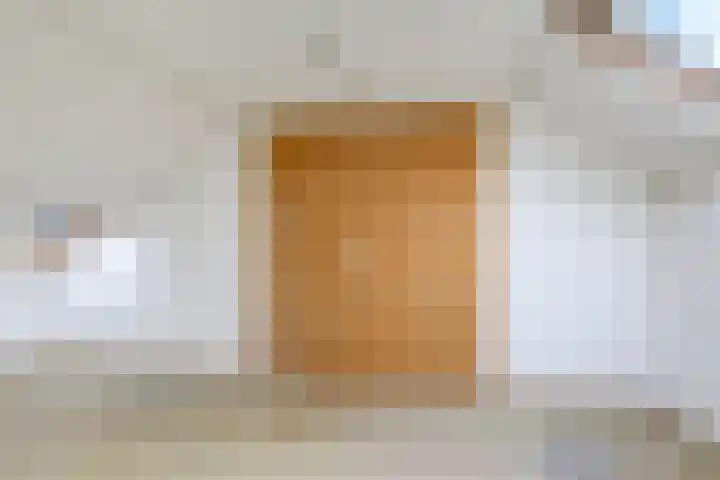 Henri Dunantplantsoen 7 Zetten thumbnail 36