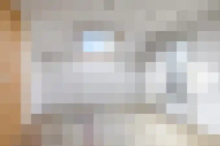 Henri Dunantplantsoen 7 Zetten thumbnail 38