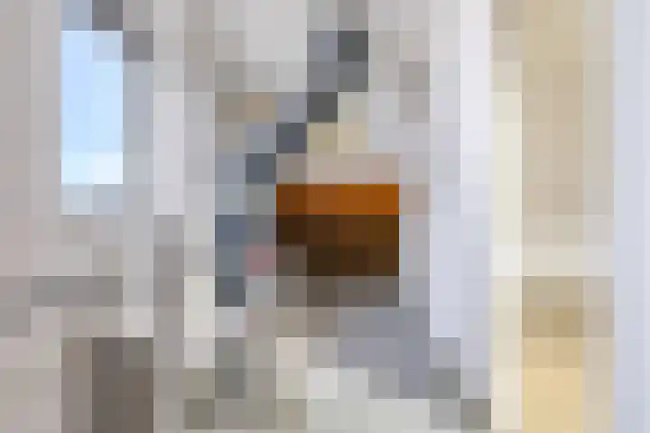 Henri Dunantplantsoen 7 Zetten thumbnail 39