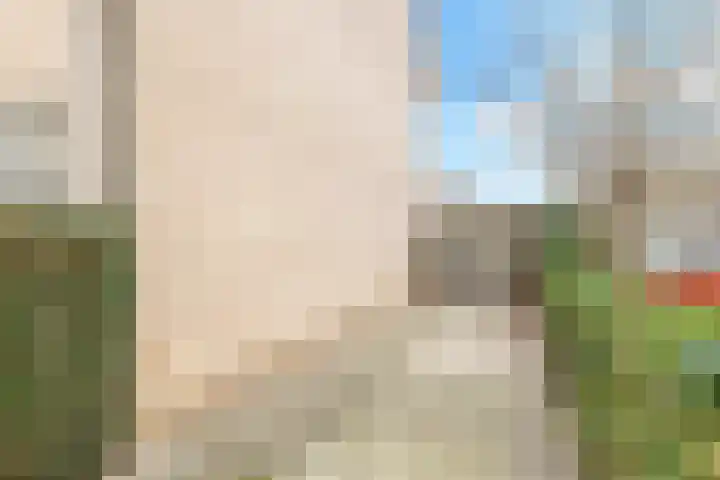 Henri Dunantplantsoen 7 Zetten thumbnail 4