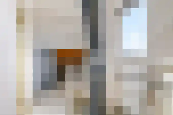 Henri Dunantplantsoen 7 Zetten thumbnail 40